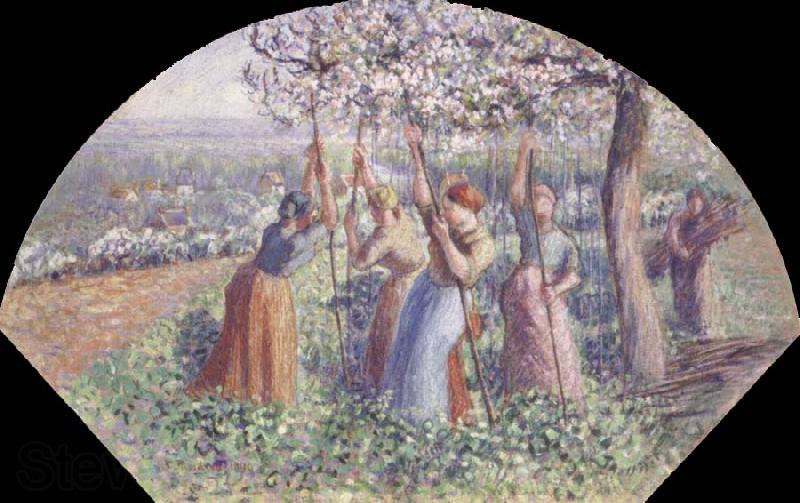 Camille Pissarro Peasant Women Placing pea-Sticks in the Ground Spain oil painting art